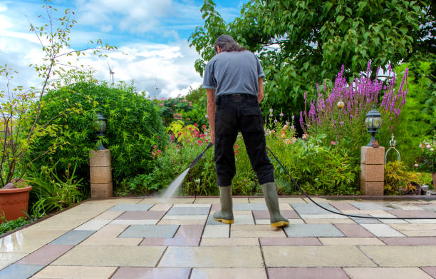 Best Fence Cleaning and Maintenance in Carrington, ND