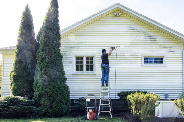 Best Gutter Cleaning and Brightening in Carrington, ND