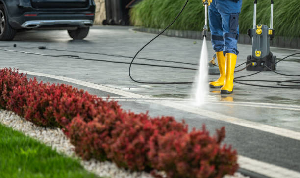 Best Sidewalk and Walkway Pressure Cleaning in Carrington, ND