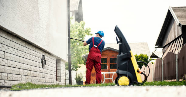 Best Roof Cleaning and Mildew Removal in Carrington, ND